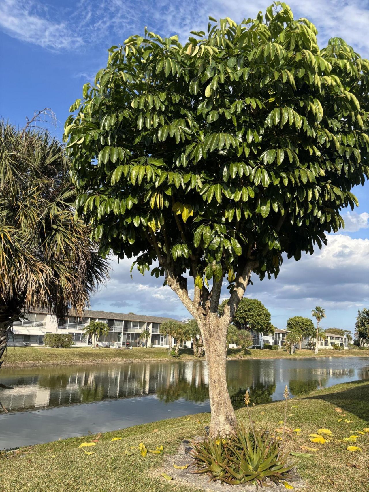 115 E Camden E E, West Palm Beach, FL 33417 Photo