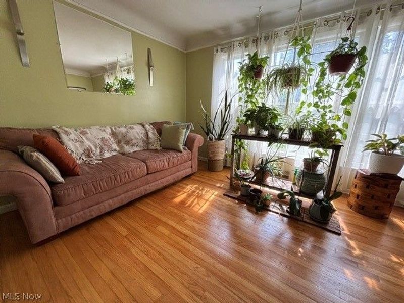 1129 Avondale, South Euclid, OH 44121 Photo 2