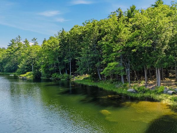 77 Wild Acre Drive, Washington, NH 03280