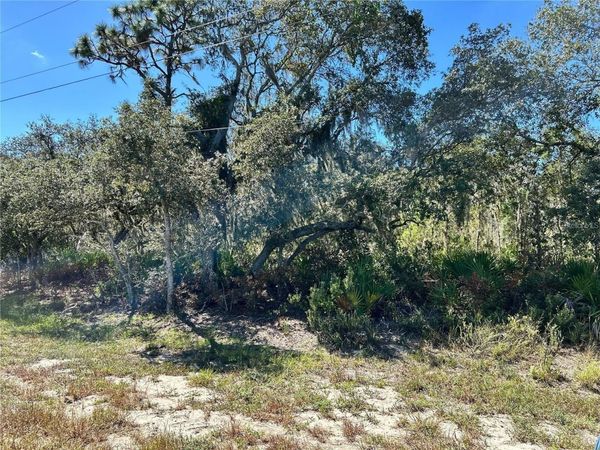 WOODSTORK WAY , FROSTPROOF, FL 33843