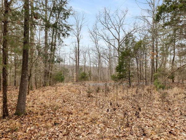 0 Griffintown Road , White Bluff, TN 37187