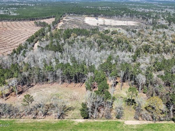 21.8 Acres Flournoy Road, Lucedale, MS 39452