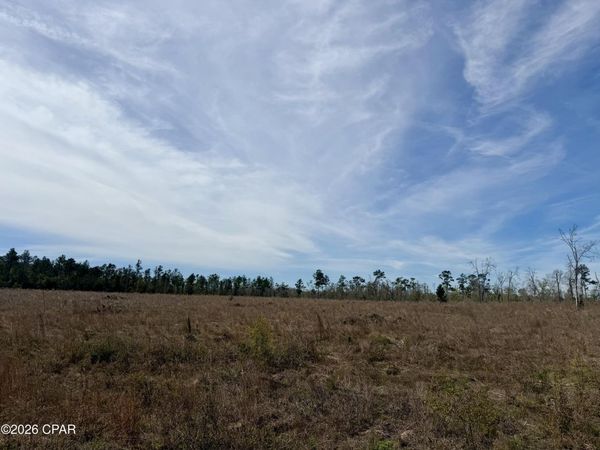 23 acres Davenport Road , Marianna, FL 32448