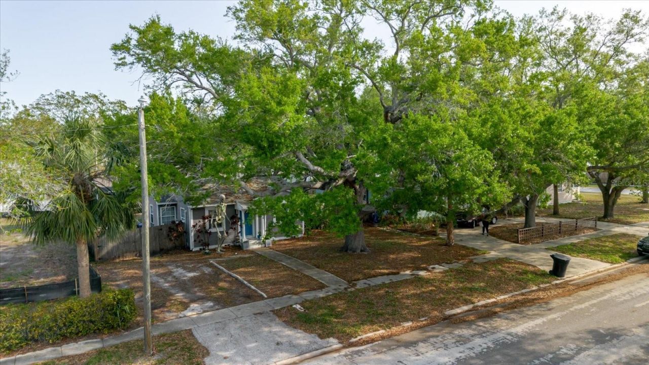 765 60th Avenue Ne, Saint Petersburg, FL 33703 Photo