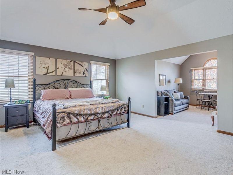 21821 Woodfield Trail, Strongsville, OH 44149 Photo 24