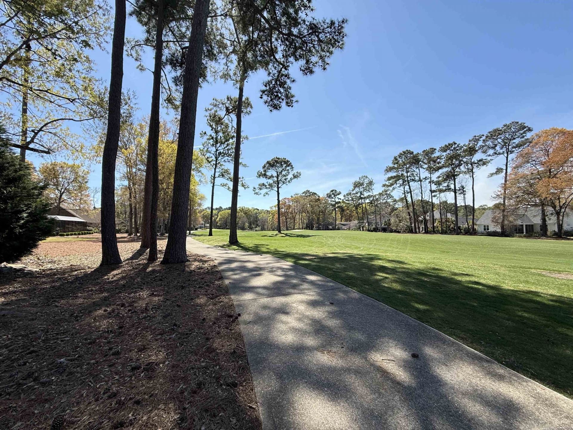 549 Old Augusta Dr. Photo 48