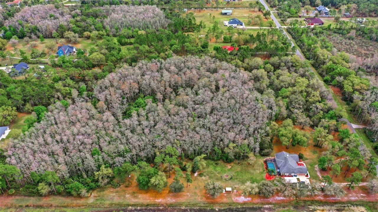 Quinlan Street , Orlando, FL 32833 Photo