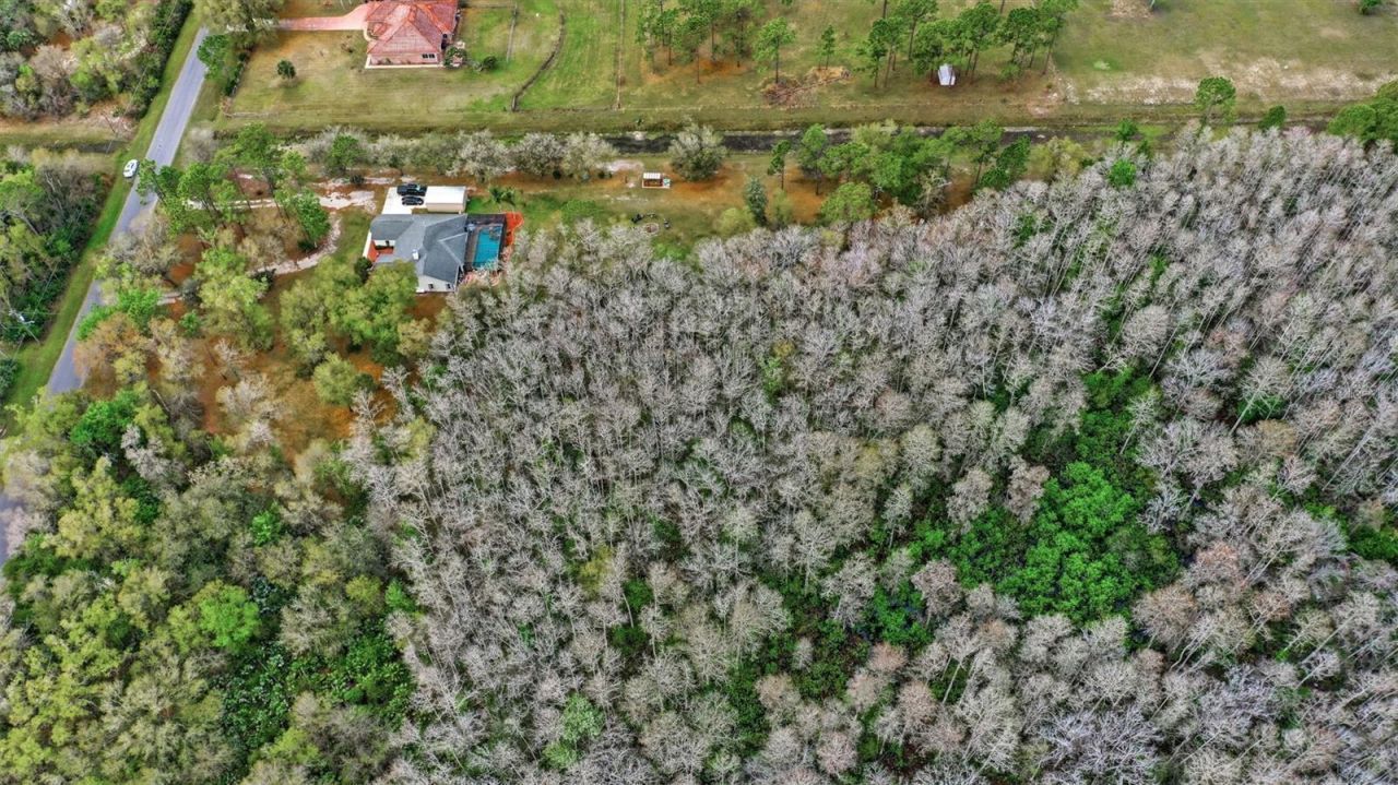 Quinlan Street , Orlando, FL 32833 Photo