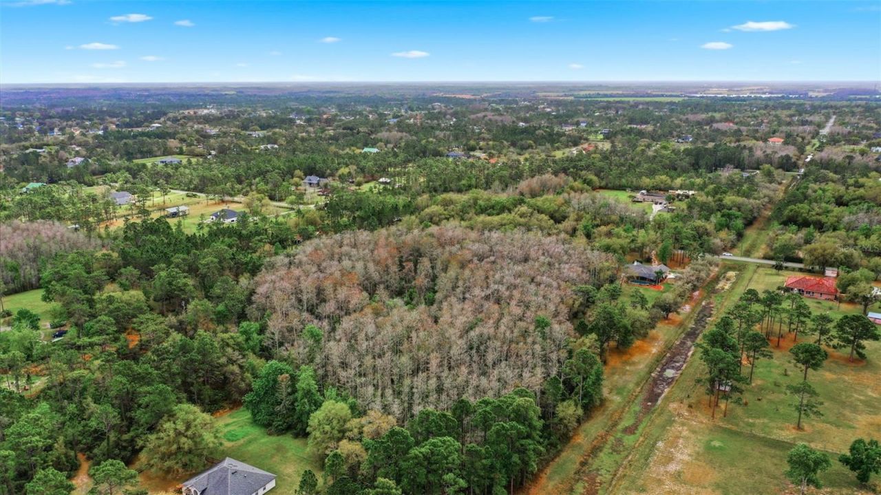 Quinlan Street , Orlando, FL 32833 Photo