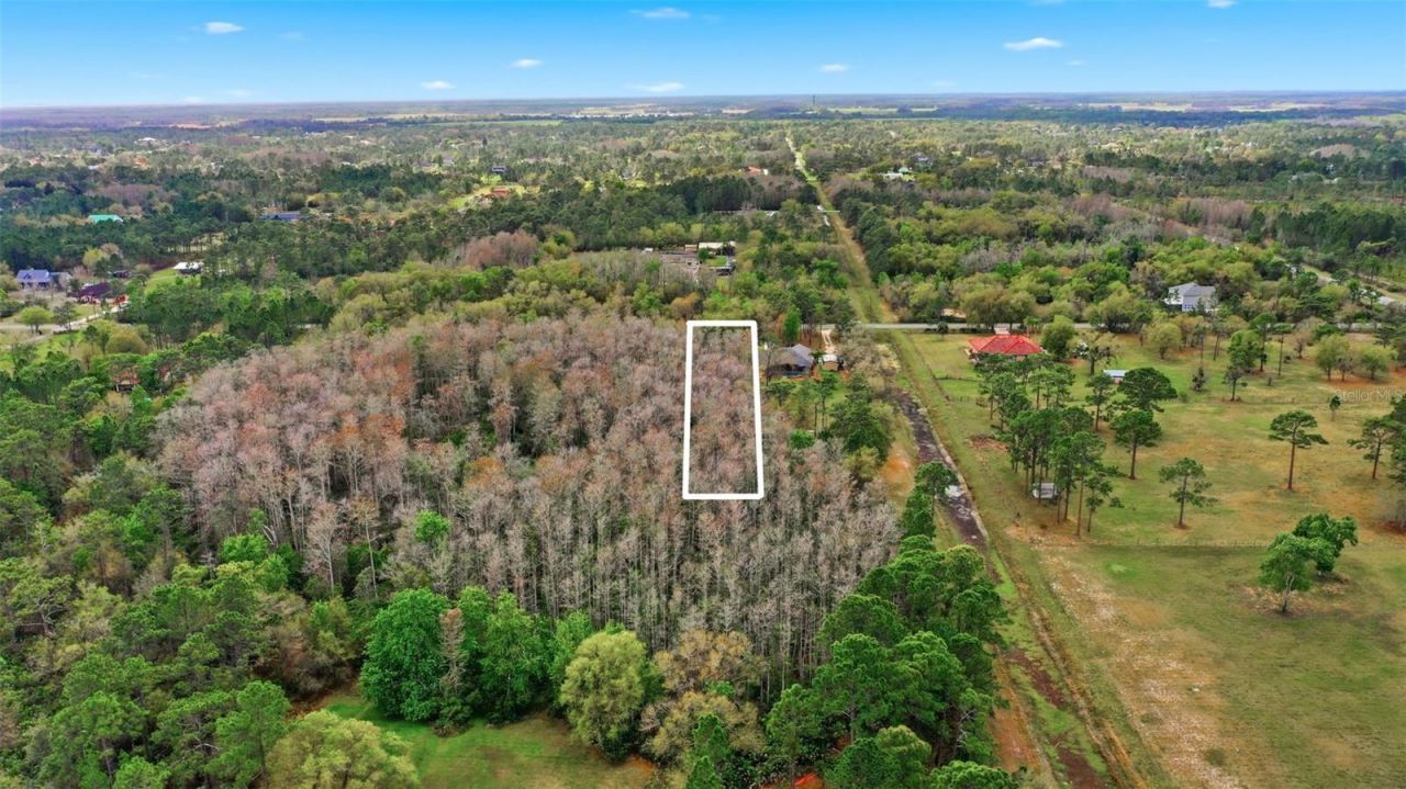 Quinlan Street , Orlando, FL 32833 Photo