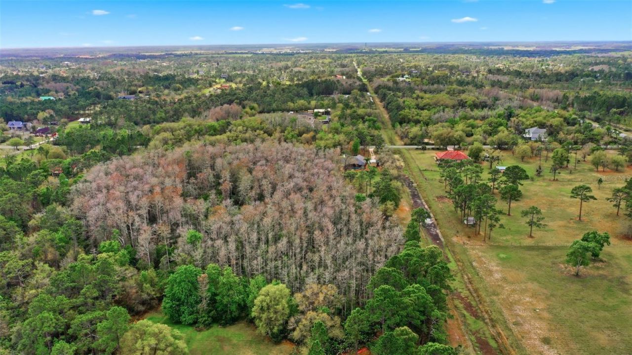 Quinlan Street , Orlando, FL 32833 Photo