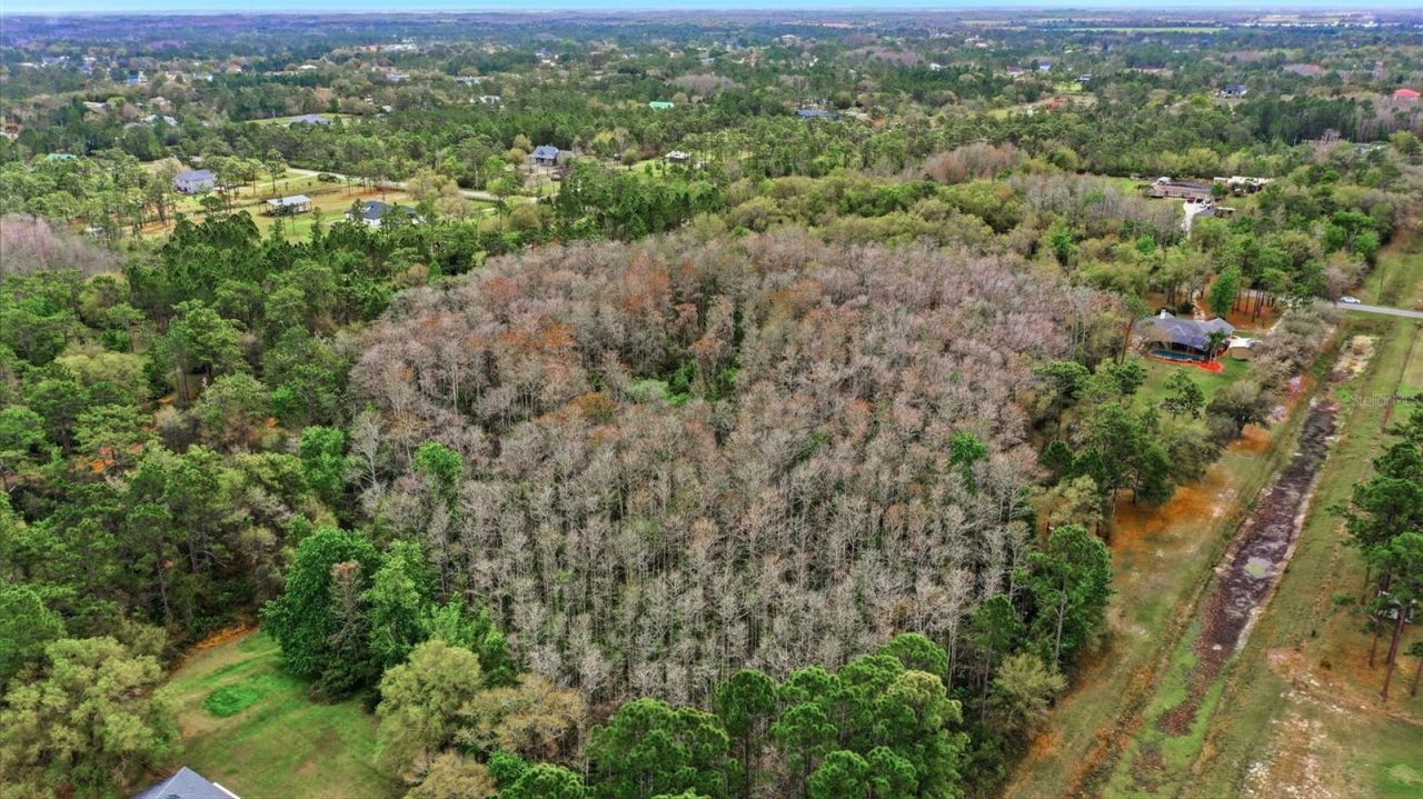 Quinlan Street , Orlando, FL 32833 Photo