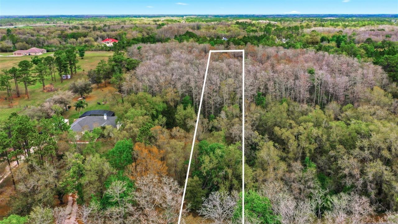 Quinlan Street , Orlando, FL 32833 Photo