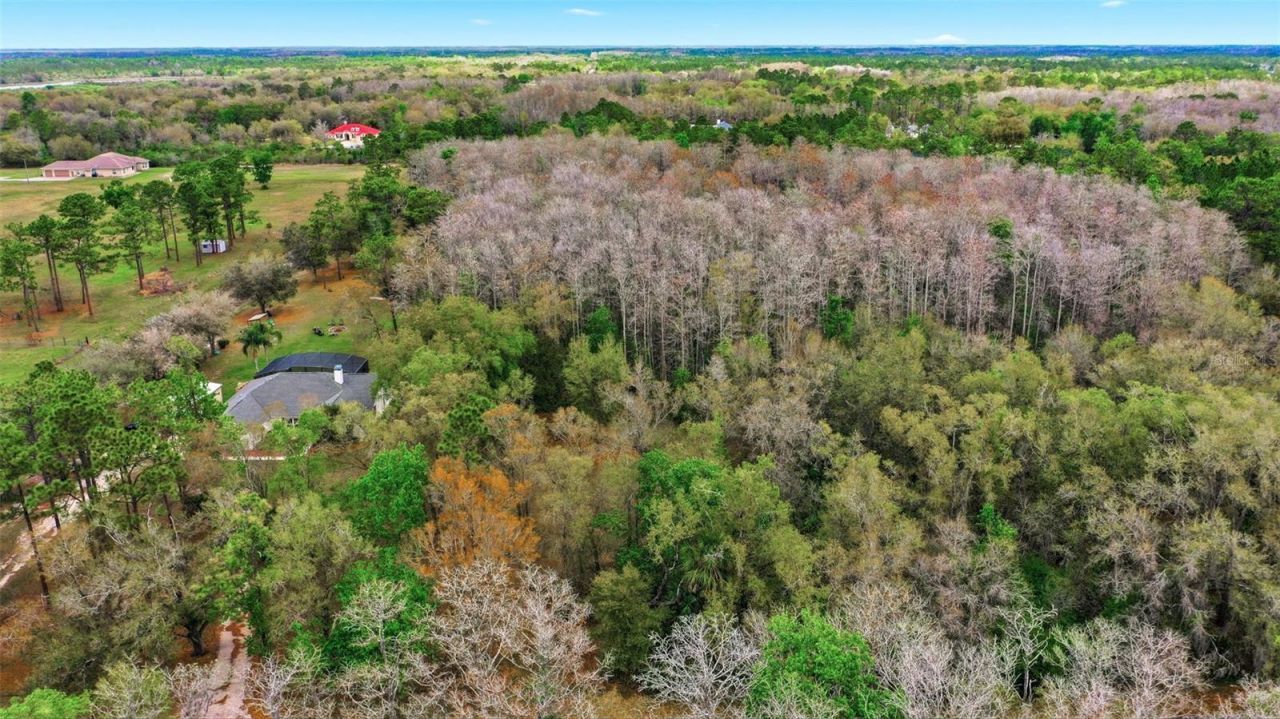 Quinlan Street , Orlando, FL 32833 Photo