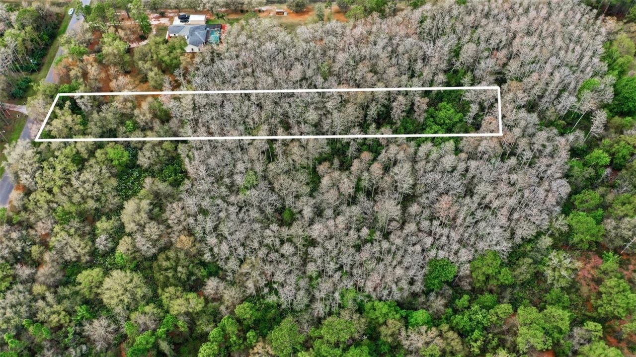 Quinlan Street , Orlando, FL 32833 Photo