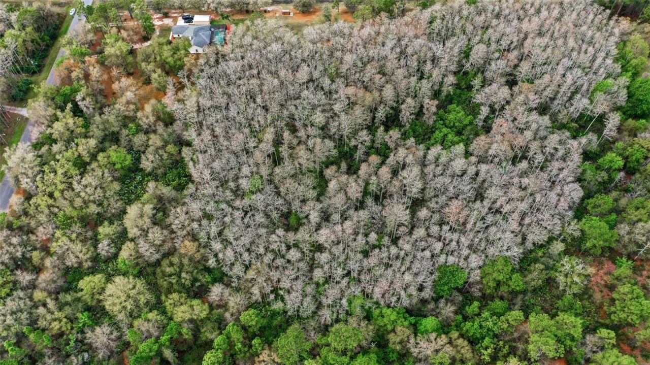 Quinlan Street , Orlando, FL 32833 Photo