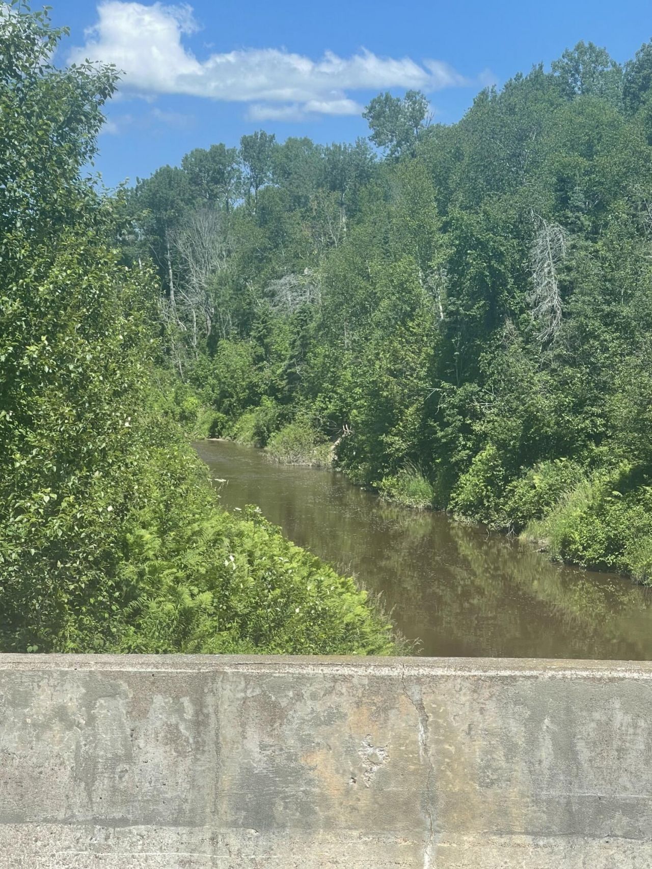 Tbd W Prairie Rd, Rudyard, MI 49780 Main Photo