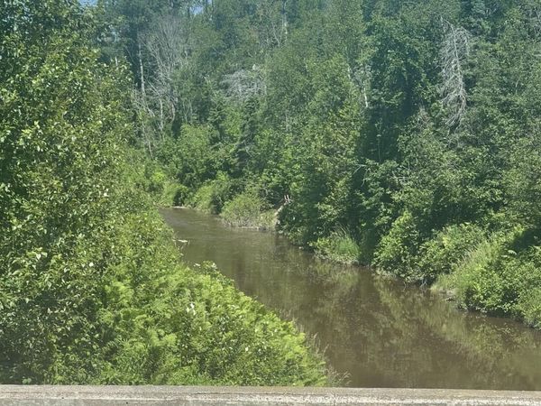 TBD W Prairie RD, Rudyard, MI 49780