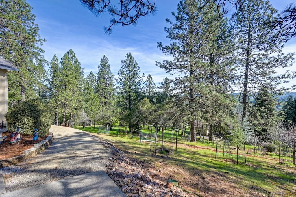 2065 Hotchkiss Ct, Cool, CA 95614 Photo