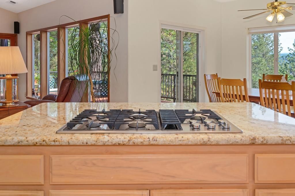 2065 Hotchkiss Ct, Cool, CA 95614 Photo