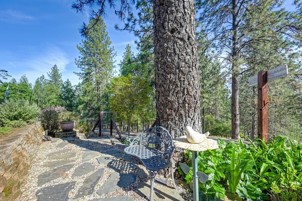 2065 Hotchkiss Ct, Cool, CA 95614 Photo