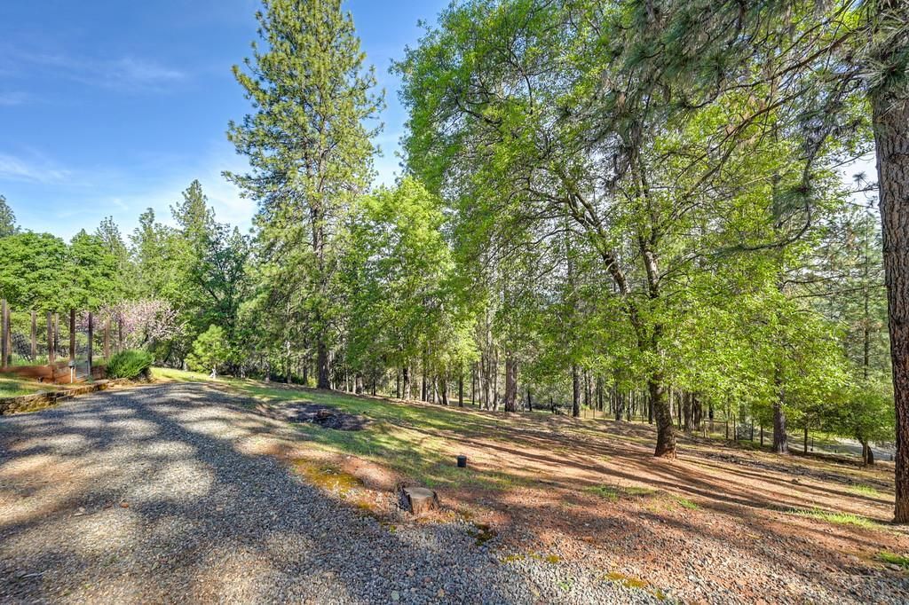 2065 Hotchkiss Ct, Cool, CA 95614 Photo