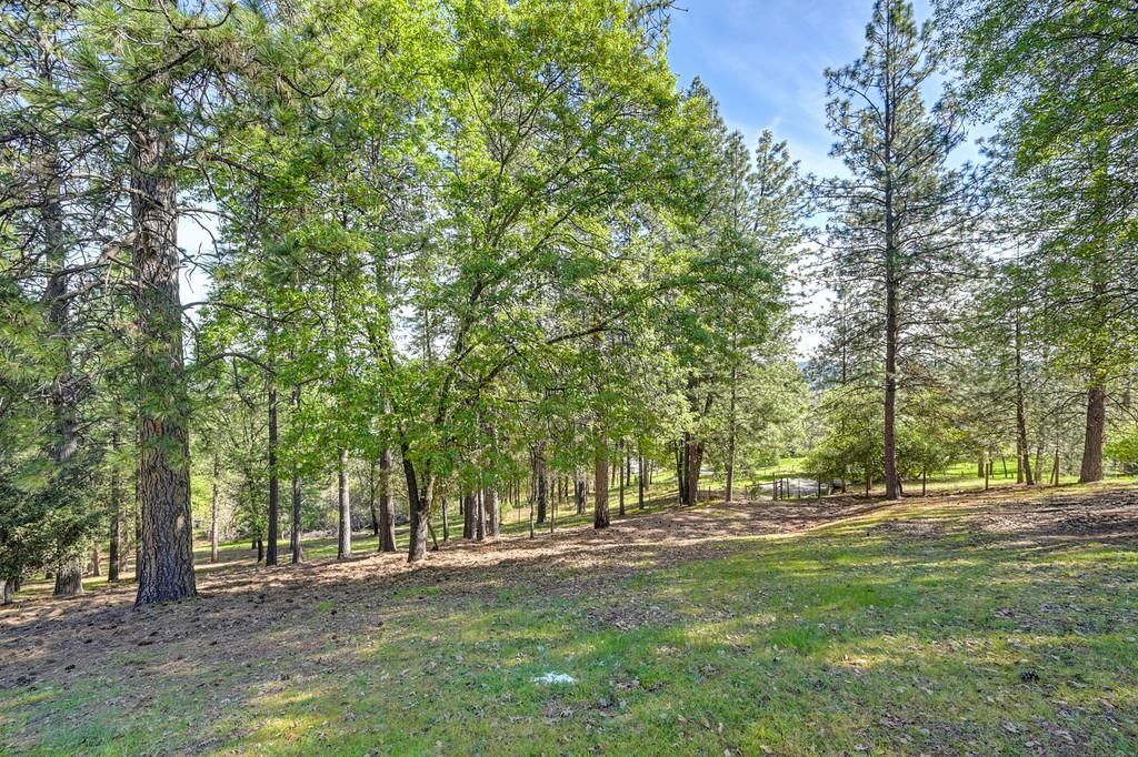 2065 Hotchkiss Ct, Cool, CA 95614 Photo