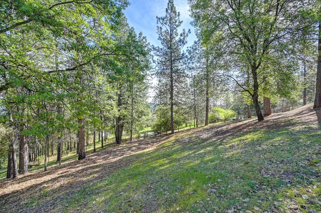 2065 Hotchkiss Ct, Cool, CA 95614 Photo