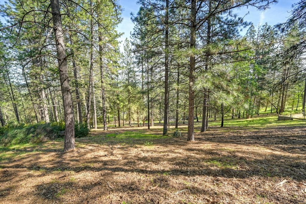 2065 Hotchkiss Ct, Cool, CA 95614 Photo