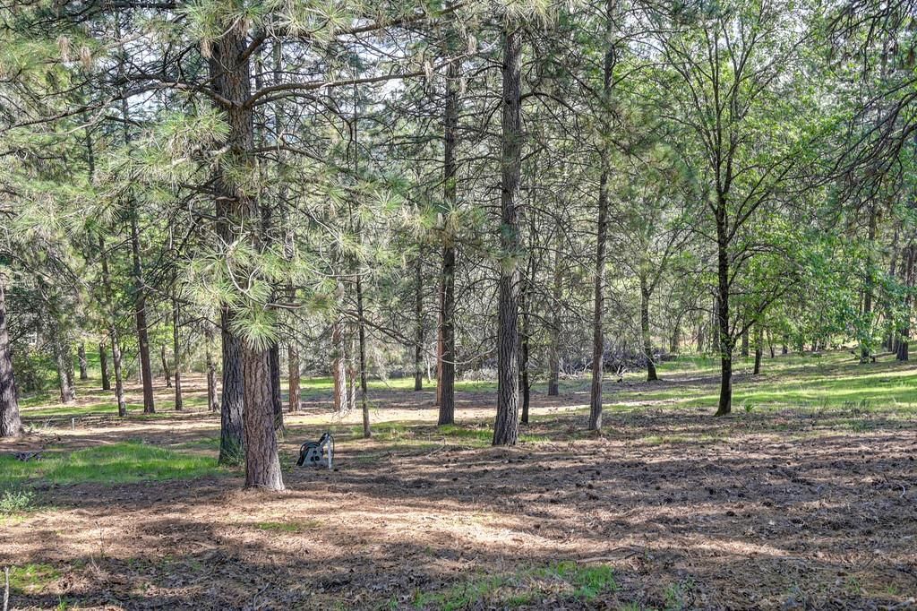 2065 Hotchkiss Ct, Cool, CA 95614 Photo