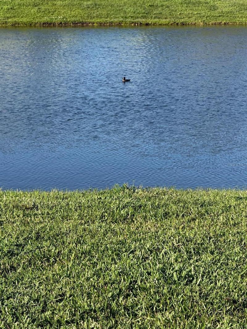 2217 Citrus Breeze Drive , Bradenton, FL 34208 Photo