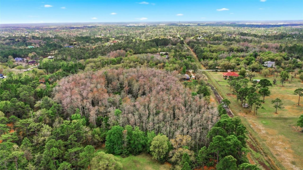 Quinlan Street , Orlando, FL 32833 Photo