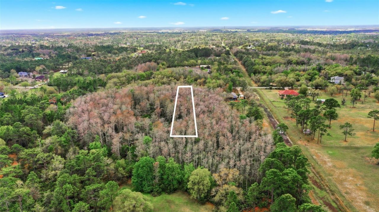 Quinlan Street , Orlando, FL 32833 Photo