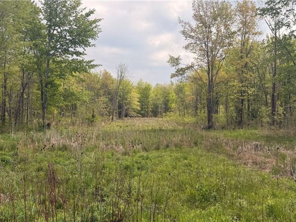Munson Hill Road, Ashtabula, OH 44004