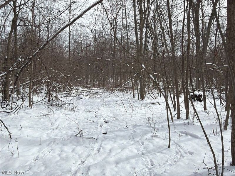 Munson Hill Road, Ashtabula, OH 44004 Photo 11