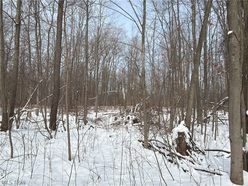 Munson Hill Road, Ashtabula, OH 44004 Photo 12