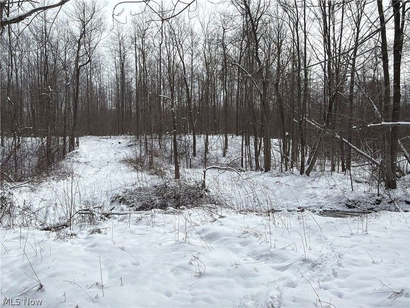 Munson Hill Road, Ashtabula, OH 44004 Photo 13