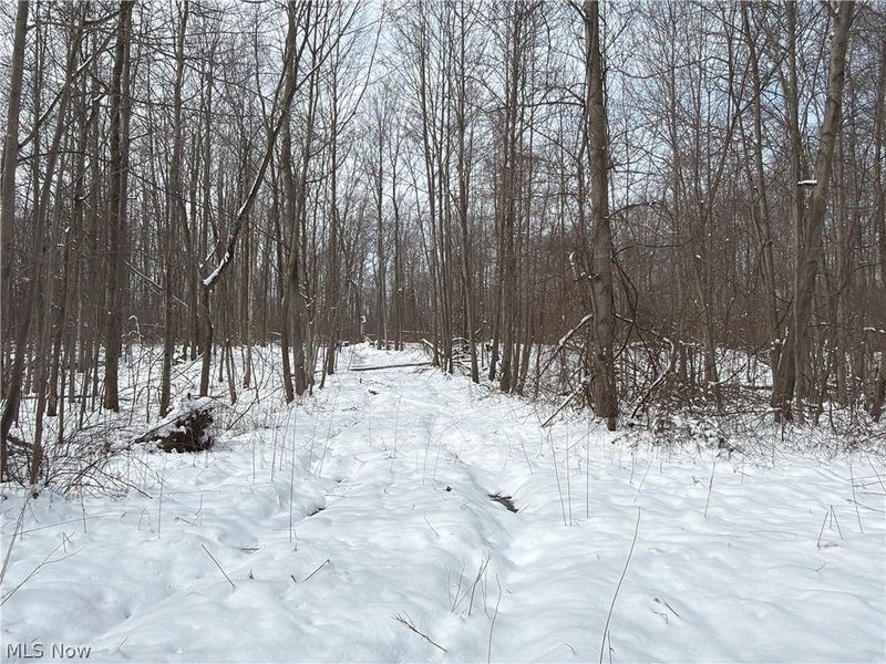 Munson Hill Road, Ashtabula, OH 44004 Photo 14