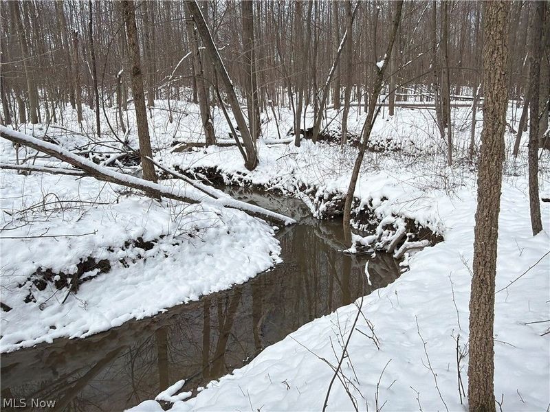 Munson Hill Road, Ashtabula, OH 44004 Photo 15