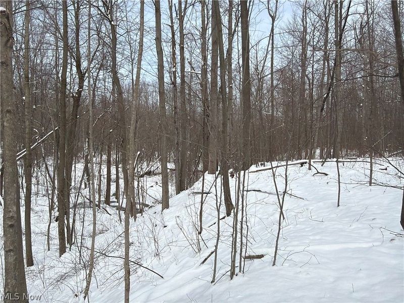 Munson Hill Road, Ashtabula, OH 44004 Photo 16