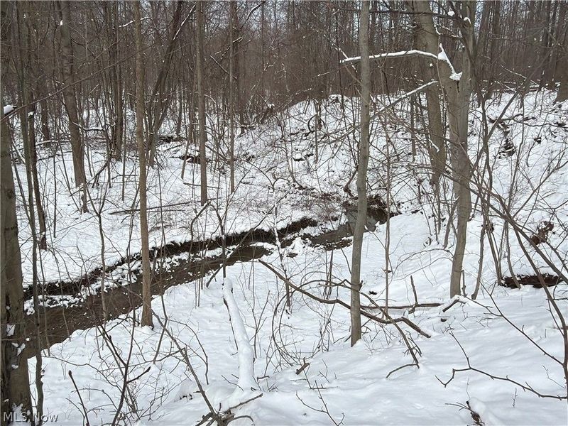 Munson Hill Road, Ashtabula, OH 44004 Photo 19