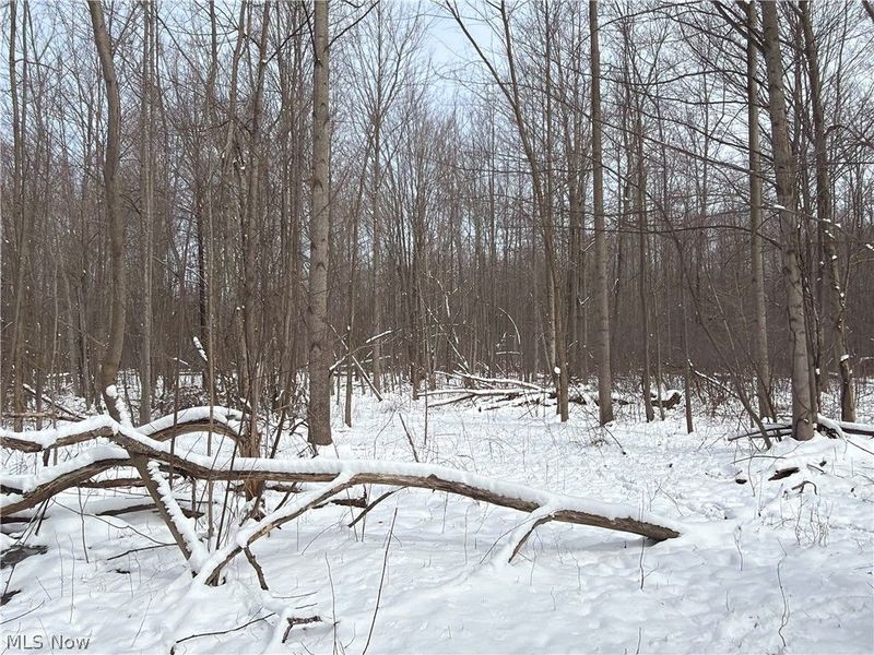 Munson Hill Road, Ashtabula, OH 44004 Photo 2