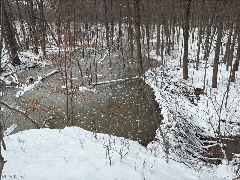 Munson Hill Road, Ashtabula, OH 44004 Photo 20