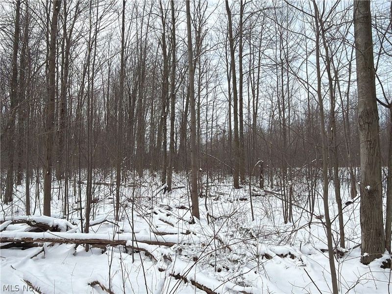 Munson Hill Road, Ashtabula, OH 44004 Photo 22