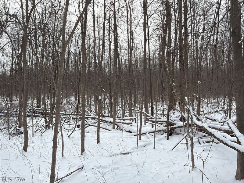 Munson Hill Road, Ashtabula, OH 44004 Photo 23