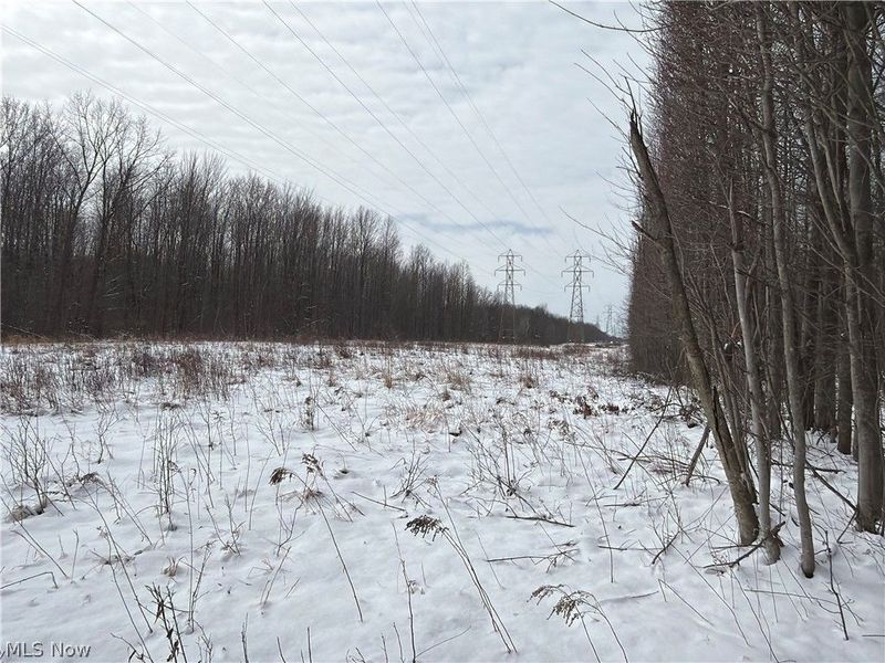 Munson Hill Road, Ashtabula, OH 44004 Photo 24