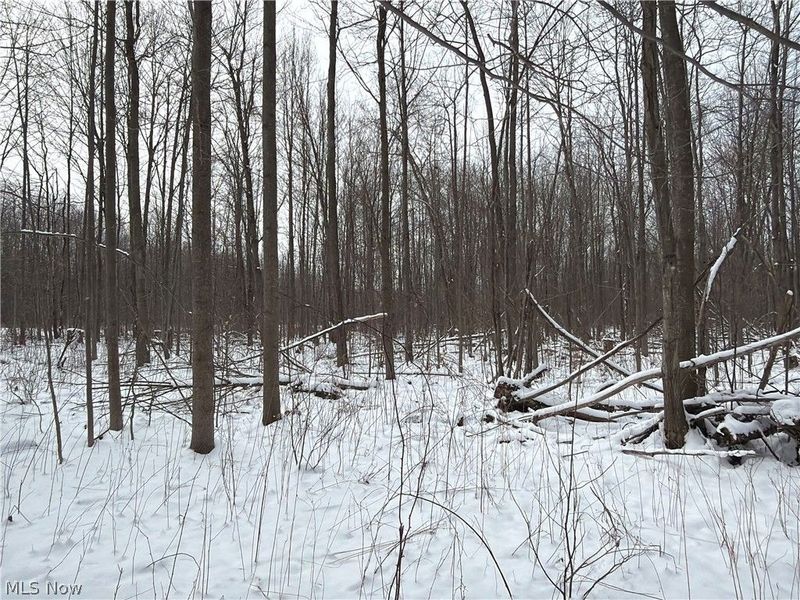 Munson Hill Road, Ashtabula, OH 44004 Photo 25