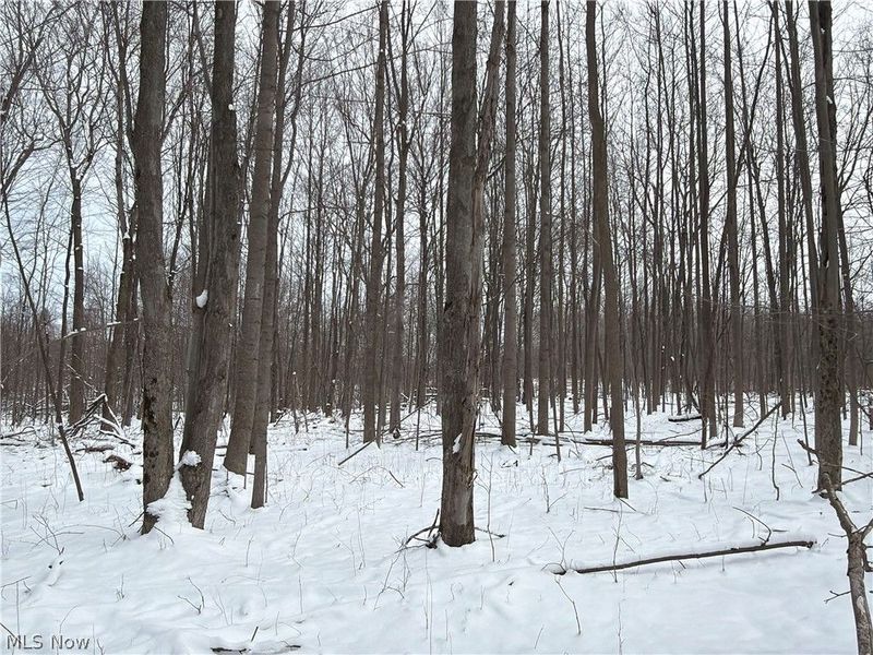 Munson Hill Road, Ashtabula, OH 44004 Photo 26