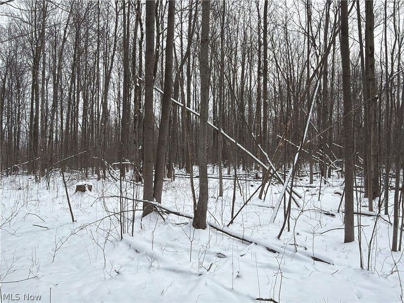 Munson Hill Road, Ashtabula, OH 44004 Photo 27