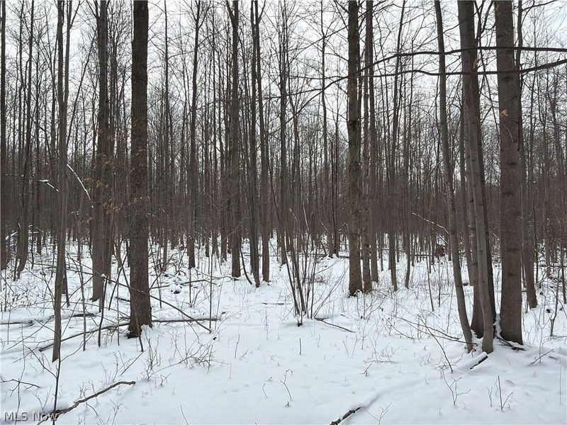 Munson Hill Road, Ashtabula, OH 44004 Photo 28